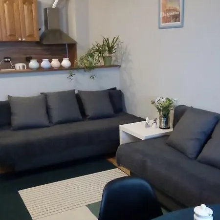 Business/ Vacation Z&p Apartment
